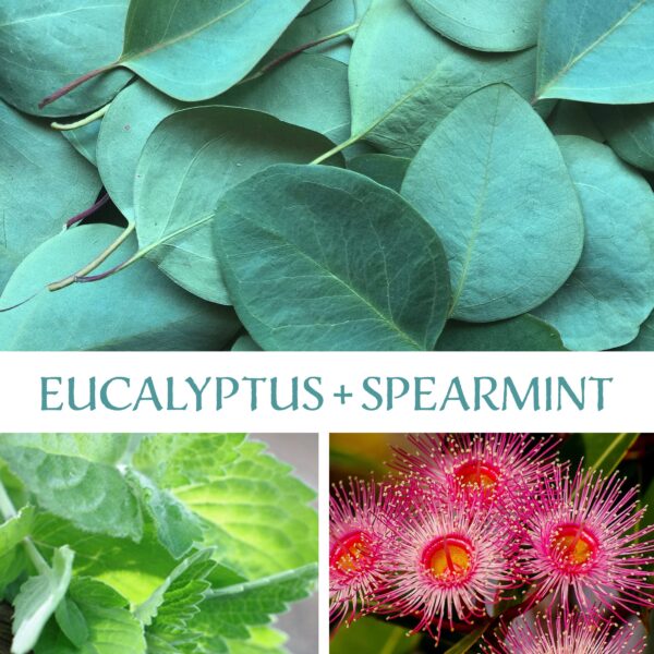 Eucalyptus + Spearmint