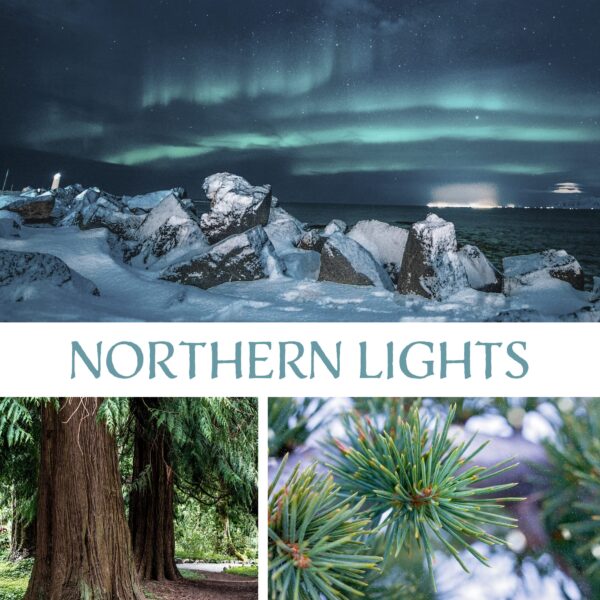 Northern Lights