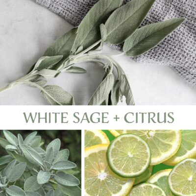 White Sage + Citrus<br>9 oz – 100% natural soy wax candle - Image 2