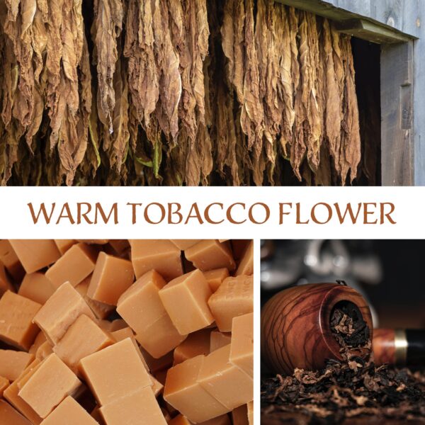Warm Tobacco Flower