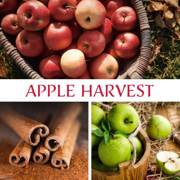 Apple Harvest scent description