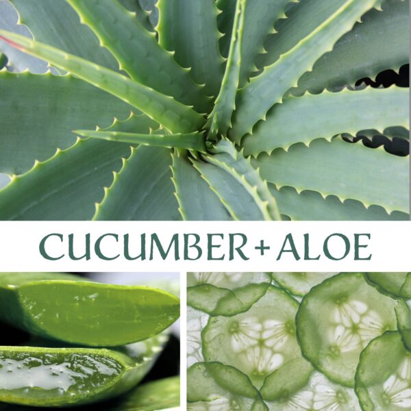 Cucumber + Aloe