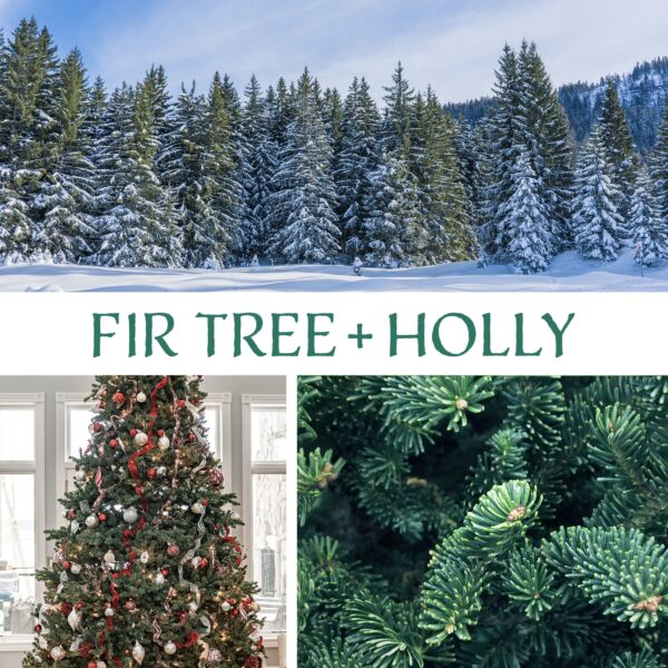 Fir Tree + Holly