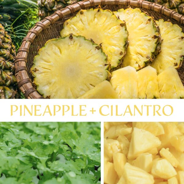 Pineapple + Cilantro