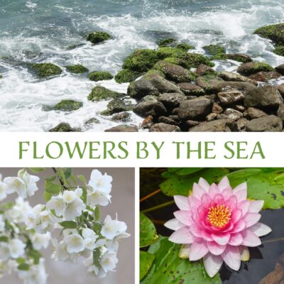Flowers by the Sea