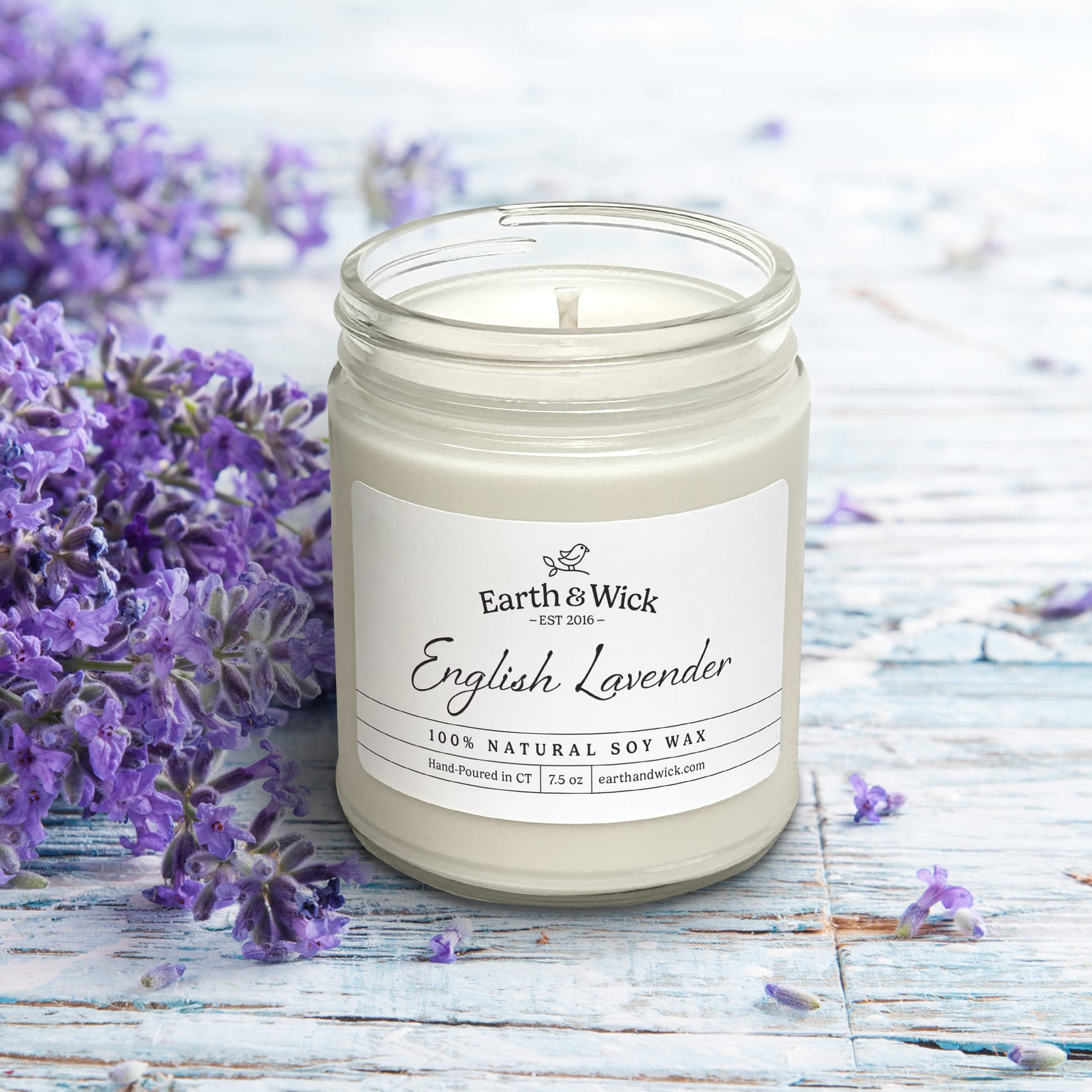 English Lavender